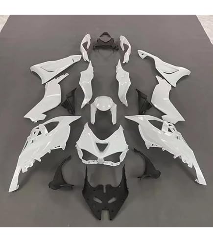 フェアリング　カウル Amazon | オートバイインジェクションコンプリートレーシングフェア